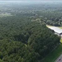 68 Acres in Covington County in Mt. Olive MS images 5
