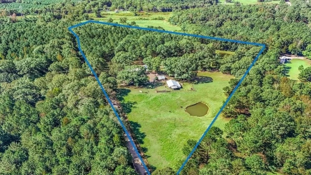 Farmhouse on 18 Acres in Walthall Co. for Sale featured image