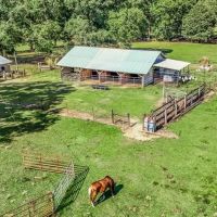 Farmhouse on 18 Acres in Walthall Co. for Sale images 5