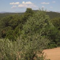 7 Blackhawk Ranch images 3