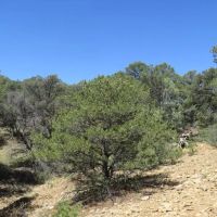 7 Blackhawk Ranch images 5