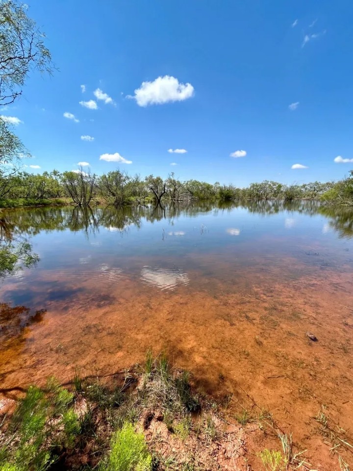 New Listing 8 - Acres Taylor County featured image