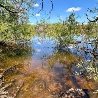 New Listing 8 - Acres Taylor County images 2
