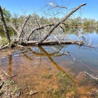 New Listing 8 - Acres Taylor County images 4