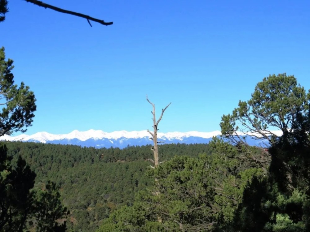 E14 Santa Fe Trail Ranch featured image