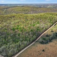 West Fork Ranch Timber Live Water Development Potential