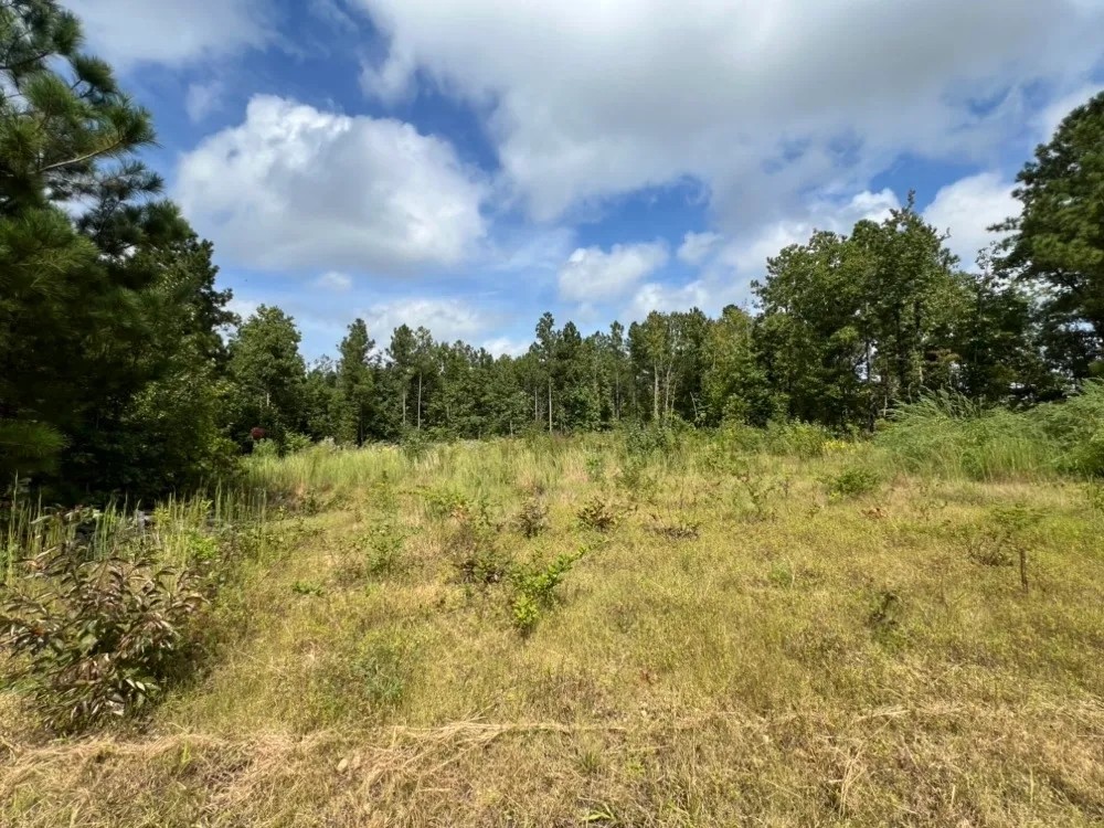 Beautiful Recreational And Commercial Timber Investment featured image
