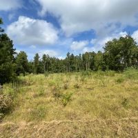Beautiful Recreational And Commercial Timber Investment