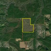 Beautiful Recreational And Commercial Timber Investment images 3