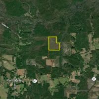 Beautiful Recreational And Commercial Timber Investment images 4