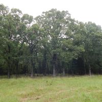 Beautiful Off Grid Property Bagwell TX images 3