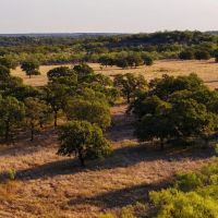 Heard Ranch images 3