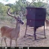 Heard Ranch images 5