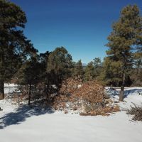 D48 Santa Fe Trail Ranch images 2