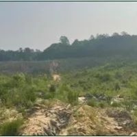 94.8 Acres in Carroll County in Carrollton MS images 3