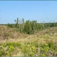 94.8 Acres in Carroll County in Carrollton MS images 4
