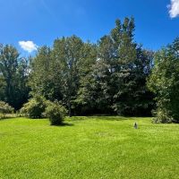29 Acres in Winston County MS with a Home images 5