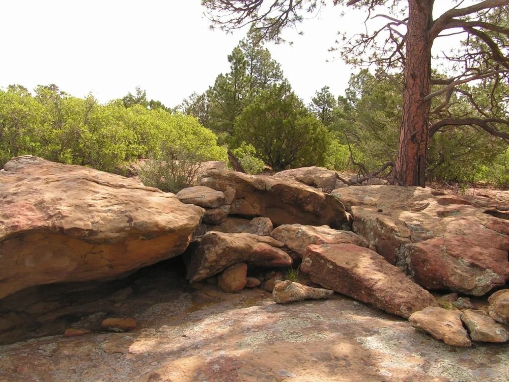 Primero Ranch 33 Bordering BLM featured image