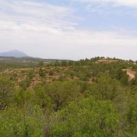 Primero Ranch 33 Bordering BLM images 4