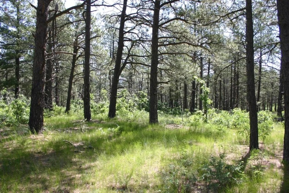 F10 Santa Fe Trail Ranch featured image