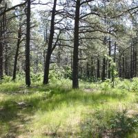 F10 Santa Fe Trail Ranch