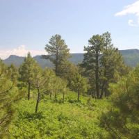 F10 Santa Fe Trail Ranch images 2