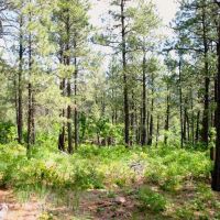 F10 Santa Fe Trail Ranch images 4