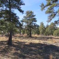 C42 Santa Fe Trail Ranch images 3