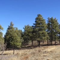 C42 Santa Fe Trail Ranch images 4