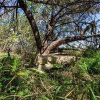 1100 CR 2440 Hico TX 76649 images 4