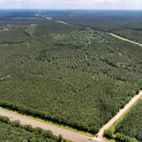 16 Acres T-4 Hunters Hill Road images 2