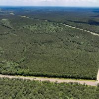 16 Acres T-4 Hunters Hill Road images 3