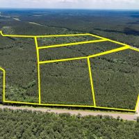 16 Acres T-4 Hunters Hill Road images 4