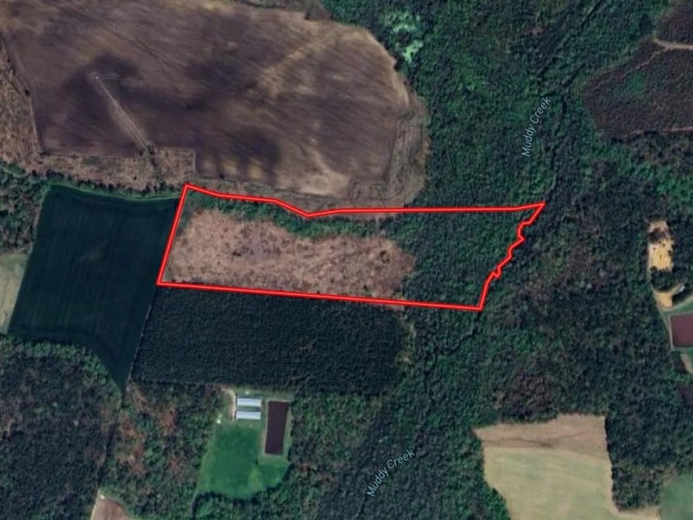 - 28.41 acres of Multi-Use Land for Sale in Duplin County NC featured image