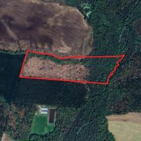 - 28.41 acres of Multi-Use Land for Sale in Duplin County NC