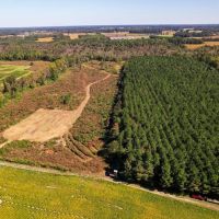 - 28.41 acres of Multi-Use Land for Sale in Duplin County NC images 2