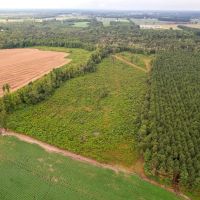 - 28.41 acres of Multi-Use Land for Sale in Duplin County NC images 3