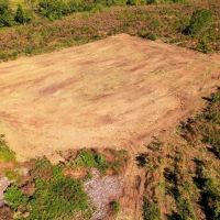 - 28.41 acres of Multi-Use Land for Sale in Duplin County NC images 4