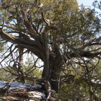 17 Blackhawk Ranch images 3