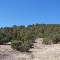 17 Blackhawk Ranch images 5