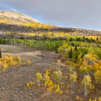 Tomichi Dome Hunting Ranch