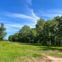 425 Acres FM 230 images 5
