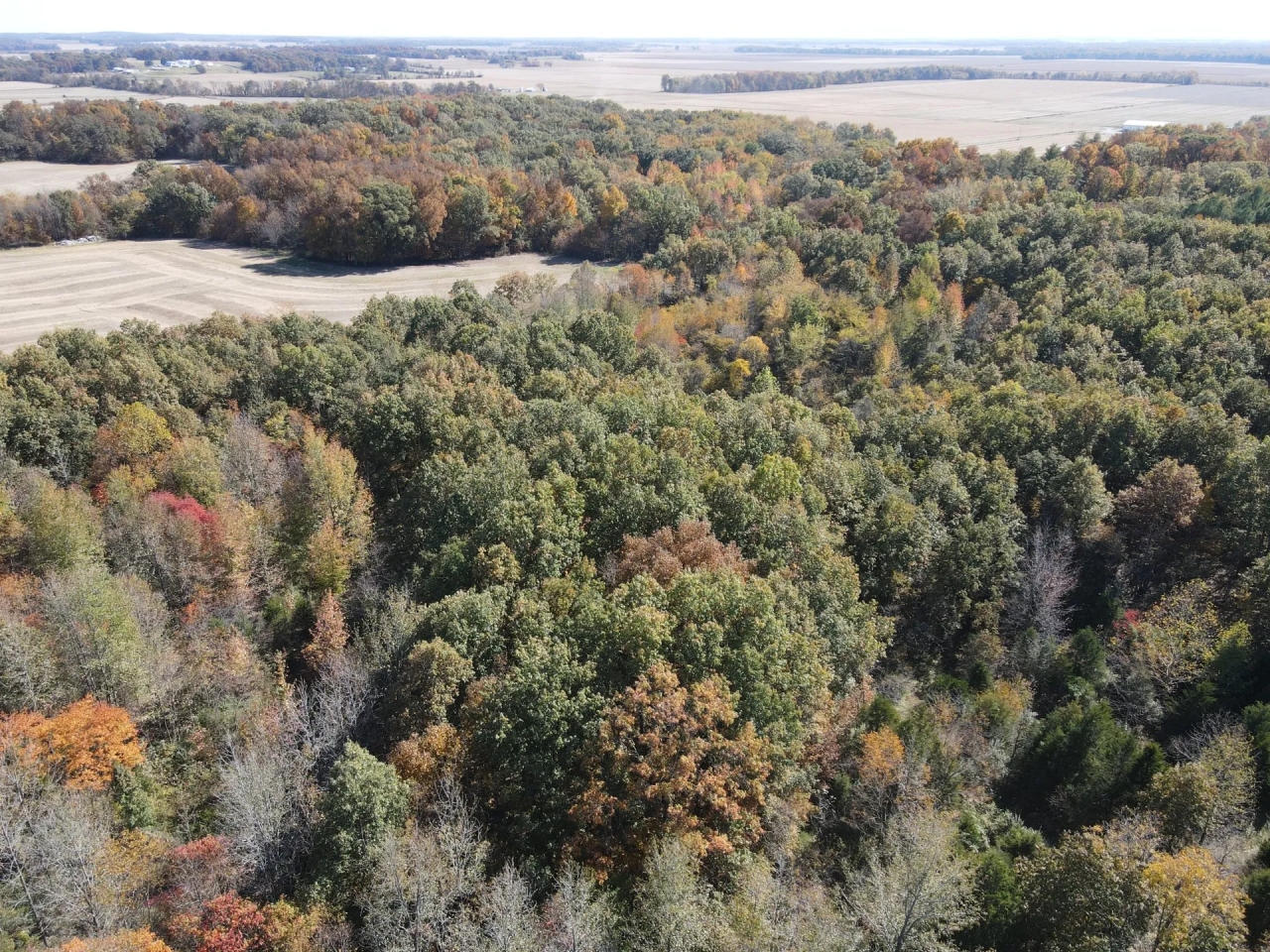 28 Acres in White County with Cabin Hunting Land for Sale