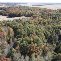 28 Acres in White County with Cabin