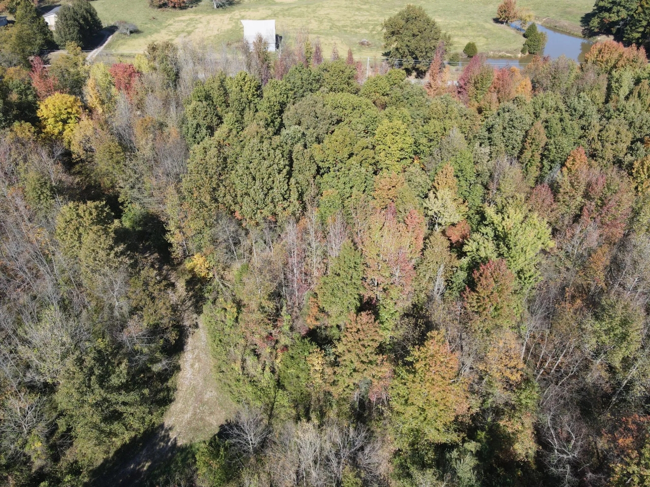 28 Acres in White County with Cabin Hunting Land for Sale