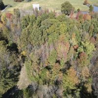 28 Acres in White County with Cabin images 3
