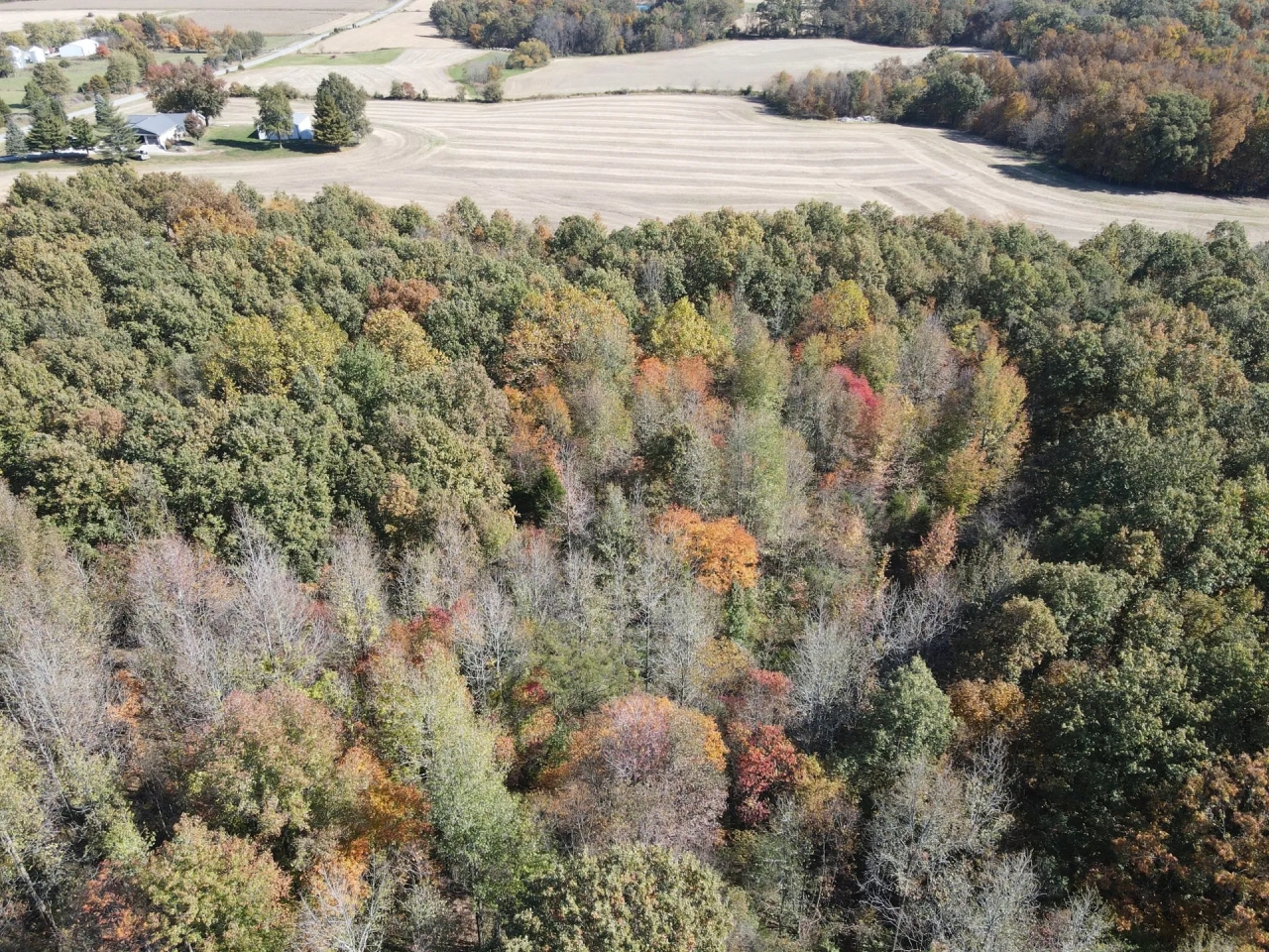 28 Acres in White County with Cabin Hunting Land for Sale