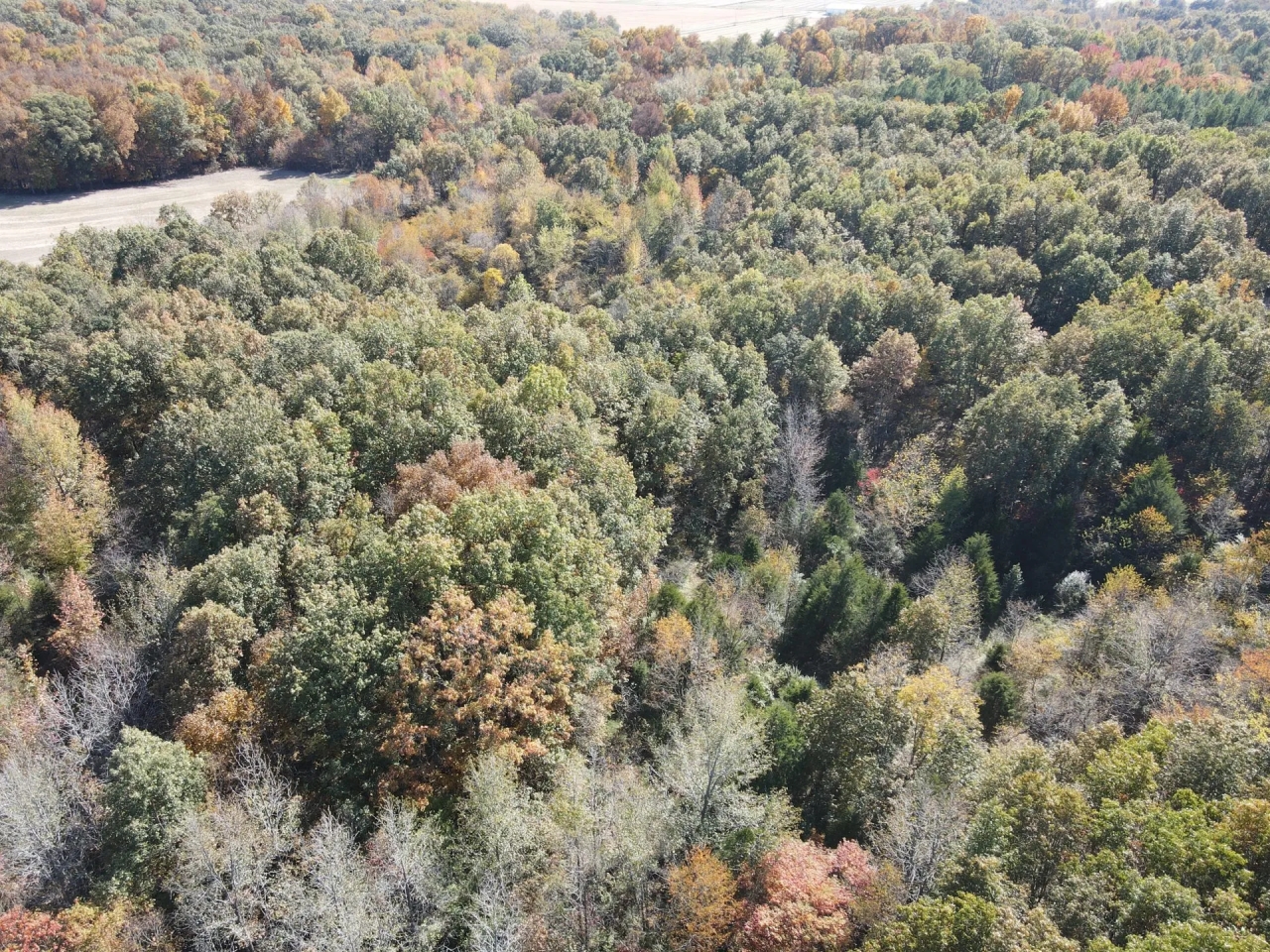 28 Acres in White County with Cabin Hunting Land for Sale