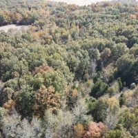 28 Acres in White County with Cabin images 5