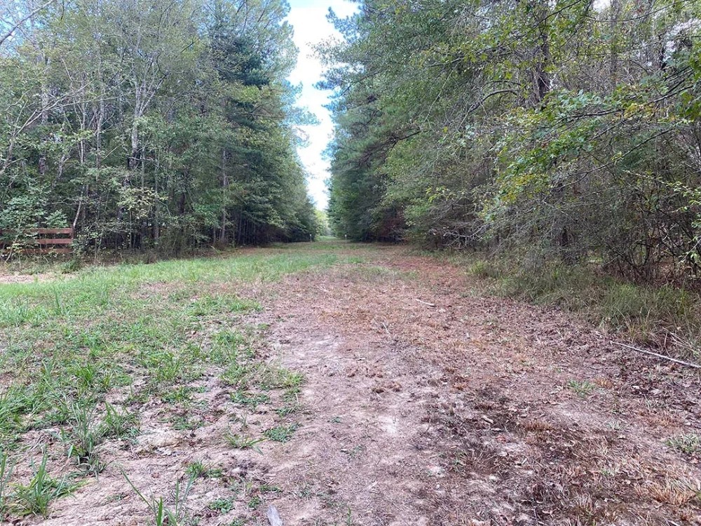 28.80 Acres in Simpson County MS featured image